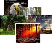 wallpapers wallpapers