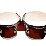 CURSO DE BONGO PARA DESCARGAR