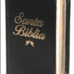 LA BIBLIA EN PDF PARA DESCARGAR