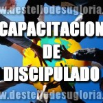 LECCIONES DE DISCIPULADO PARA DESCARGAR