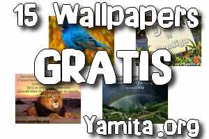 15-wallpapers-gratis 15-wallpapers-gratis